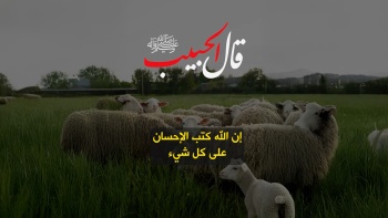 قال الحبيب ﷺ || إن الله كتب الإحسان على كل شيء 