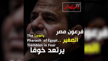 In Summary... The Lowly Pharaoh of Egypt Trembles in Fear!