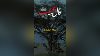 قال الحبيب ﷺ || بيعة الشجرة