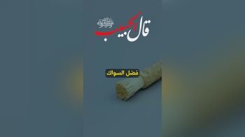 قال الحبيب ﷺ || فضل السواك