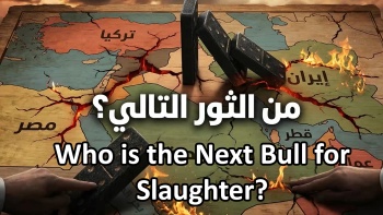 Who is the Next Bull for Slaughter? 
