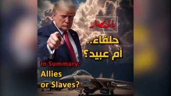 In Summary: Allies or Slaves? 